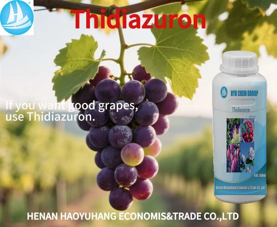 Efficient And Low-Toxic Thidiazuron 0.1%SL 0.5%SL0.16%SL CAS51707-55-2 Specially Used For Tomato And Cotton best