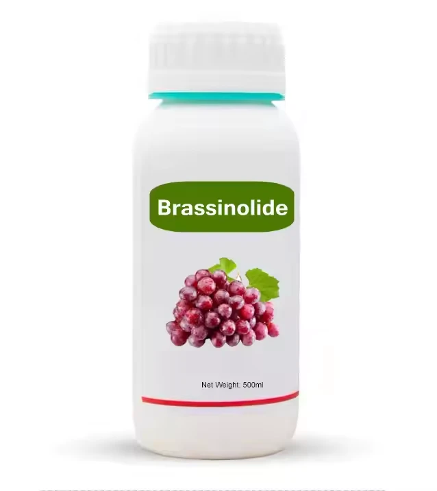 High Quality China Factory Brassinolide 0.1%WSG CAS 72962-43-7