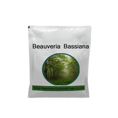 Beauveria Bassiana 150 مليار جراثيم لكل جرام نوع SP من الفطريات المسببة للأمراض الحشرية