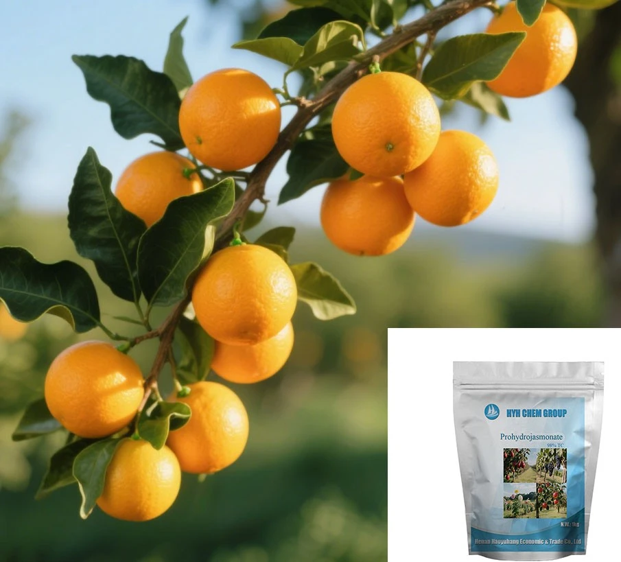 Strengthen The Ability Of Pest Control Prohydrojasmonate CAS No.158474 - 72 - 7 For Red Pear And Grape high quality